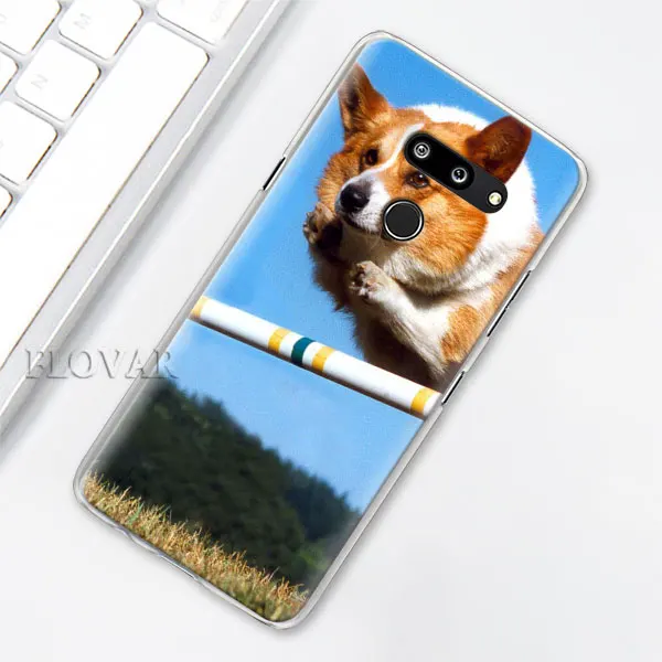 J009 Вельш-корги чехлы для телефонов LG G7 Plus G8 ThinQ G6 V40 V50 ThinQ Q6 Q7 Q8 Жесткий Чехол для ПК - Цвет: J009