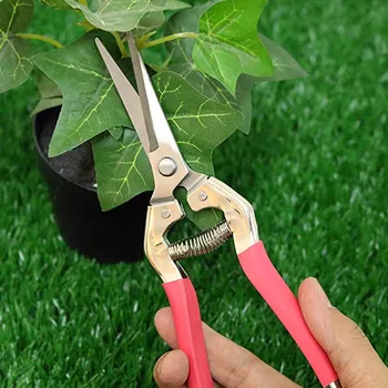 

Straight Pruning Shears Garden Bypass Pruners and Ergonomic Flower Cutter Grafting Tool Scissors Trimmer Cutter garden tool