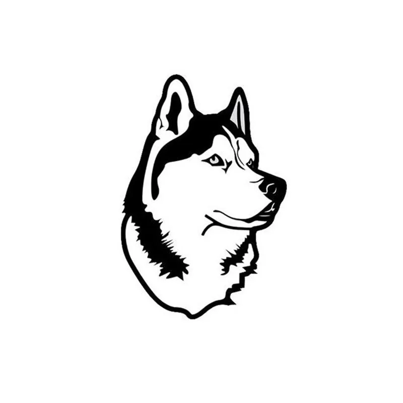 100 Gambar Anjing Hitam Putih Kekinian Gambar Pixabay