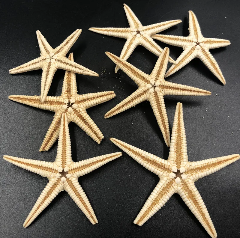 

Size 3-4cm 50pcs Mini Starfish Craft Decoration Natural Sea Stars Five finger DIY Beach Cottage Wedding Decor DIY wedding