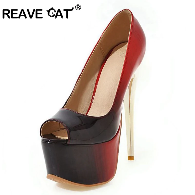 heel cat