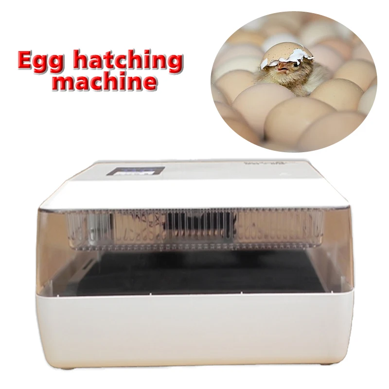 1PC 220V/12V Household Miniature Automatic Incubator Mini Egg Incubator for 60 Chicken Eggs, 40 Duck Eggs, 90 Quail Eggs 1PC 220V/12V Household Miniature Automatic Incubator Mini Egg Incubator for 60 Chicken Eggs, 40 Duck Eggs, 90 Quail Eggs