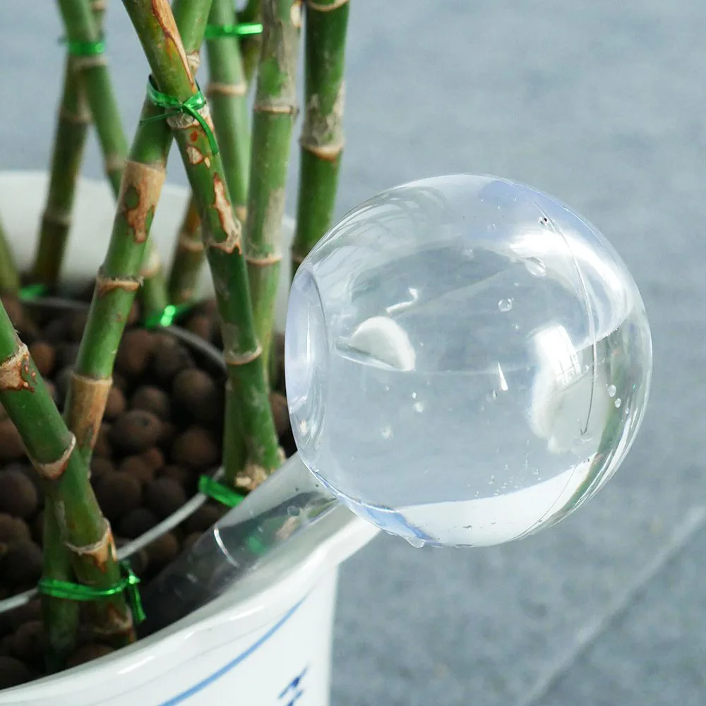 

1cps NEW FASHION Hot Sale House/Garden Supplies Water Houseplant Plant Pot Bulb Automatic Self Watering Device