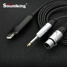 Soundking позолоченный 6,35 XLR(F) к USB конвертер записи/воспроизведения может записывать и воспроизводить аудио сигнал идет через XLR и USB к PC C61