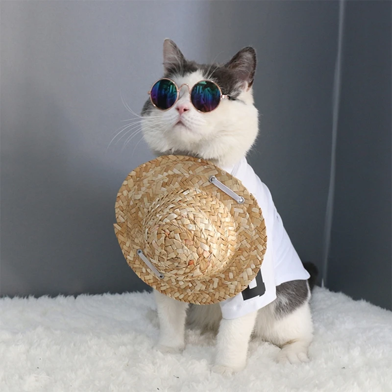 Animal De Compagnie Chien Chat Chapeau De Paille S L Chapeau De Soleil Cool Mignon Chiot Fournitures Hawaii Accessoires Pour Animaux De Compagnie Petit Chien Chiot Chaton Casquette Photo Prop Casquettes Aliexpress Animal De Compagnie Chien Chat Chapeau De Paille S L Chapeau De Soleil Cool Mignon Chiot Fournitures Hawaii Accessoires Pour Animaux De Compagnie Petit Chien Chiot Chaton Casquette Photo Prop Casquettes Aliexpress