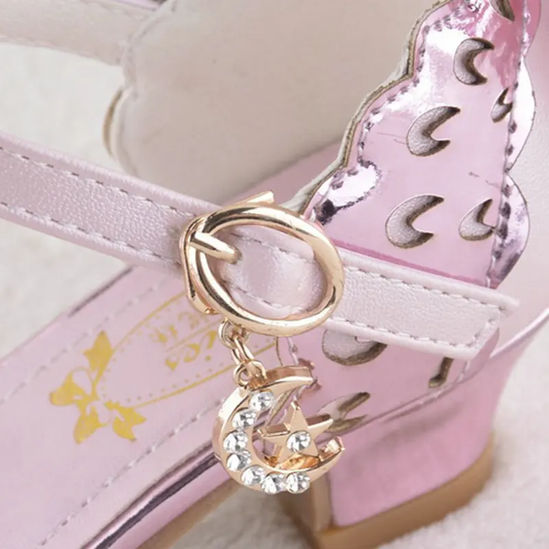 8555604112_1113950636 (1)