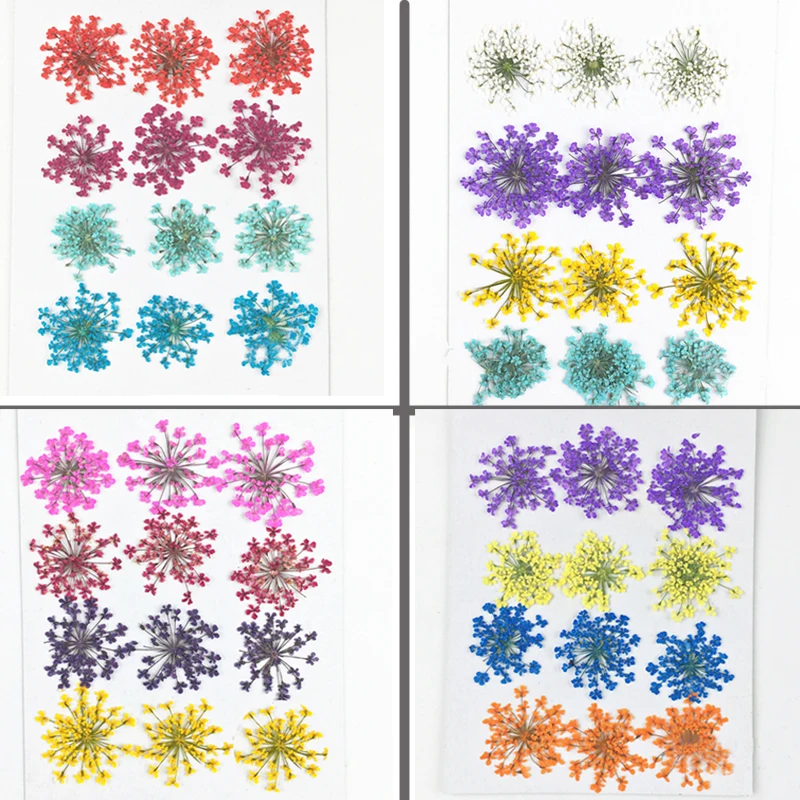 

Decoration mariage mixed lace dried flower Art specimen free shipment wholesale 1 lot/10bags(120pcs flowers)