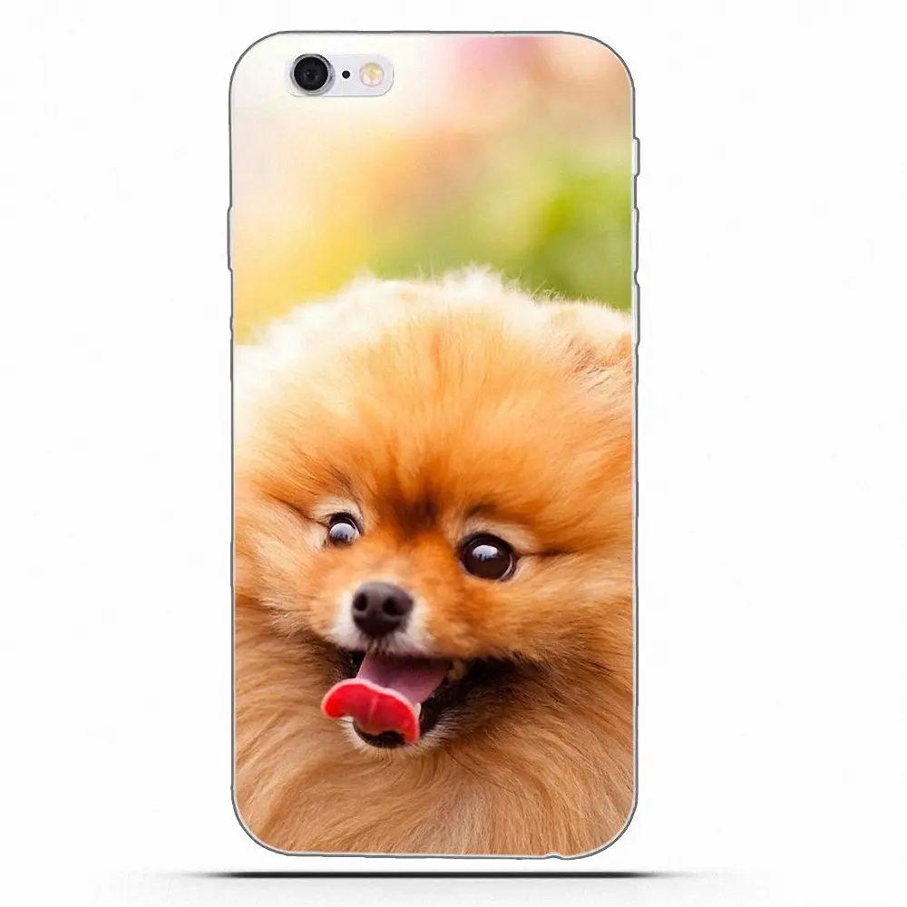 Wexoeq For Apple iPhone X 4 4S 5 5C 5S SE 6 6S 7 8 Plus Soft Capa Pomeranian puppy dog