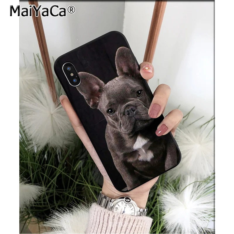 Cute Anime Bulldog