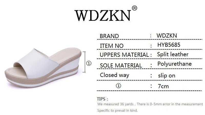 WDZKN