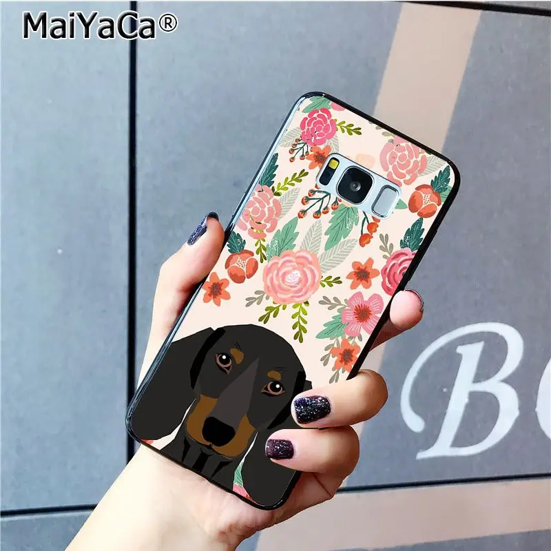 Cute animals Dachshund French Bulldog Labrador Welsh Corgi florals spring flowers