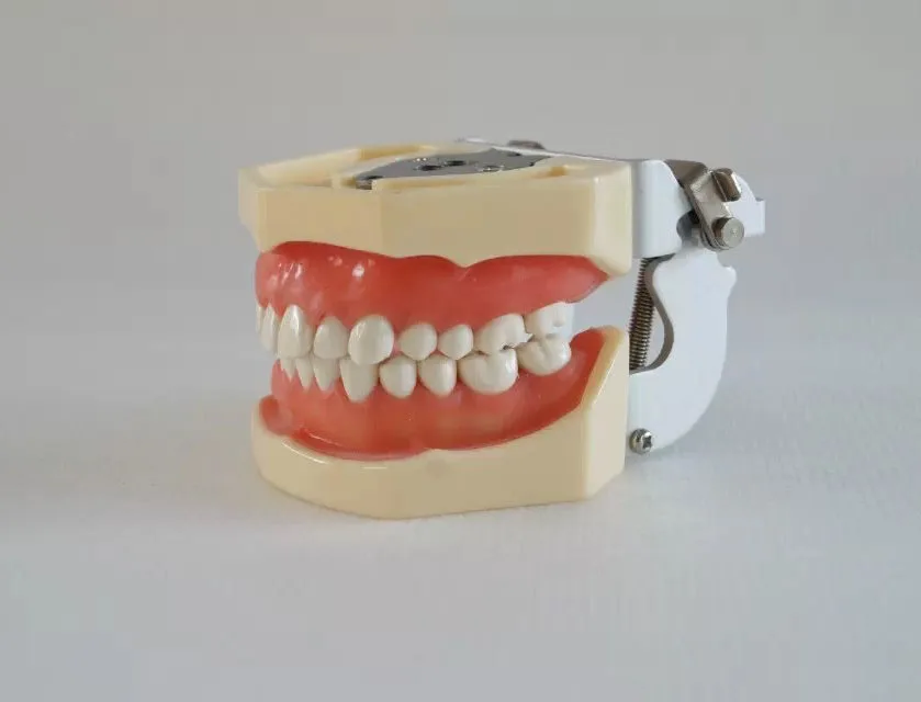 A14 Standard Model (28pcs)