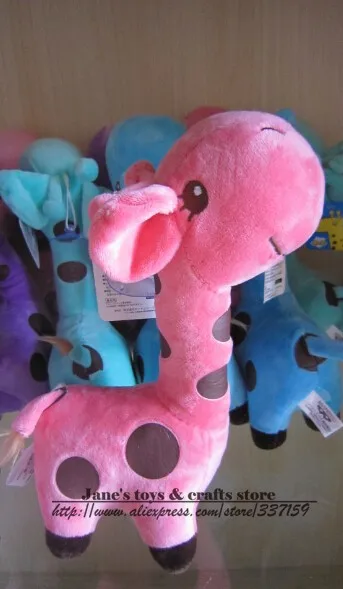  giraffe (7)