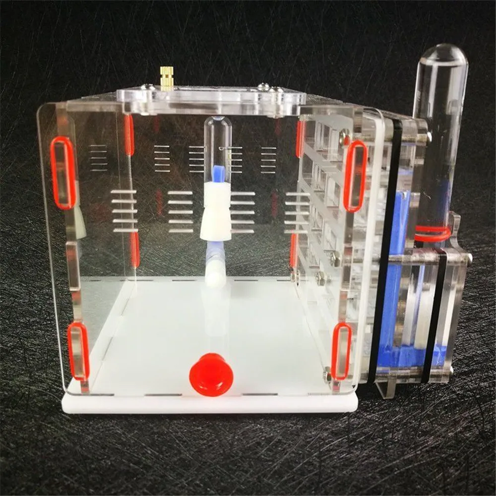 Муравьиная ферма муравьи гнездо мастерская Formicarium акриловое гнездо с питанием области насекомых Наука Природа образовательные для живых муравьев