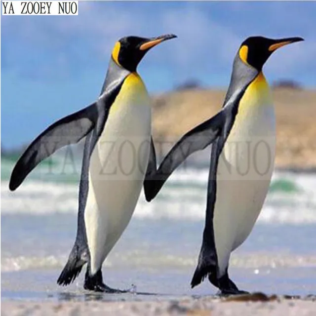 7800 Gambar Hewan Penguin HD Terbaru