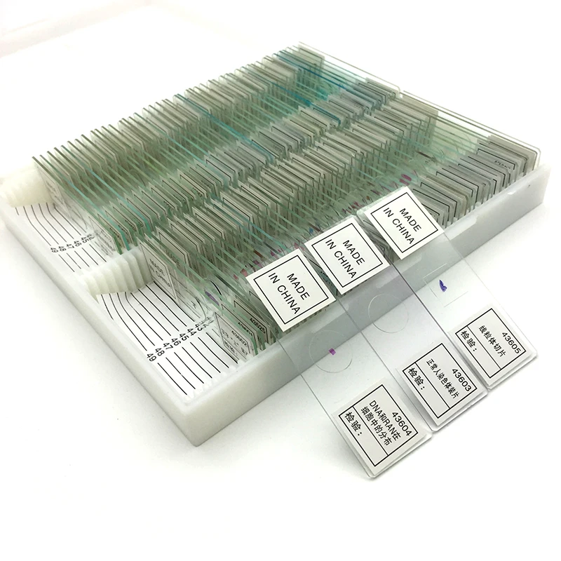 MS-91-03