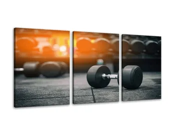 

Black and White Dumbbells Fitness Bodybuilding Gym Paintings Canvas Wall Art Prints Artwork 3 Panel Home Decor for Living Room