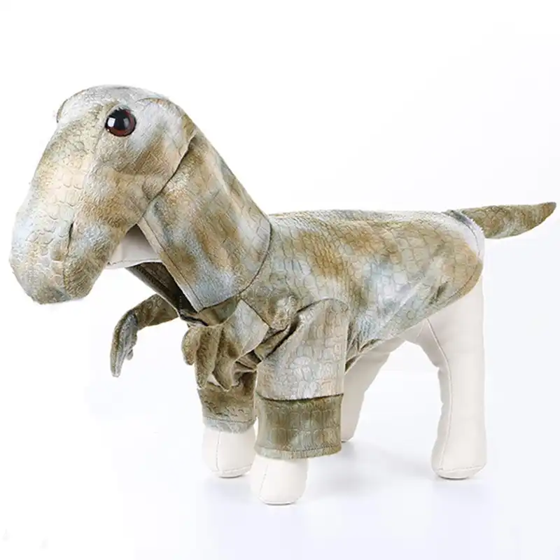 dinosaur dog outfit