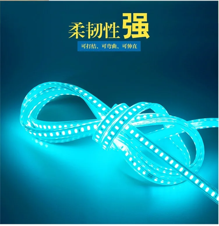 1000m Pack, Outdoor 220V LED Flexible Neon Stripe of Ocean Blue with 5730 Beads / 100m per Spool / 3 Years Warranty