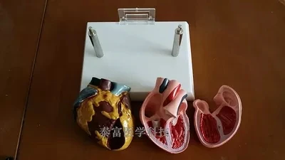 TB2lRXCruJ8puFjy1XbXXagqVXa_!!478904890.jpg_400x400.jpg_.webp