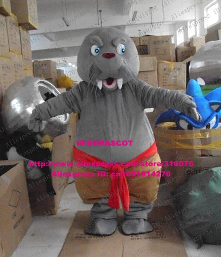 Kusam Grey Walrus Laut Gajah Laut Sapi Segel Anjing Laut Laut