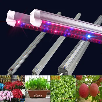 شراء20 قطع T5Led النبات ينمو ضوء أنبوب الصمام أضواء مصابيح للنباتات الخضر المتزايد زهرة بذر نظام الدفيئة المائية