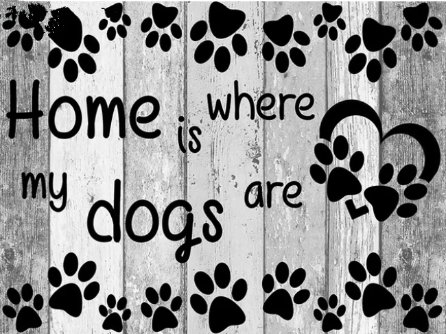 HTB1HSkvmUR1BeNjy0Fmq6z0wVXaq