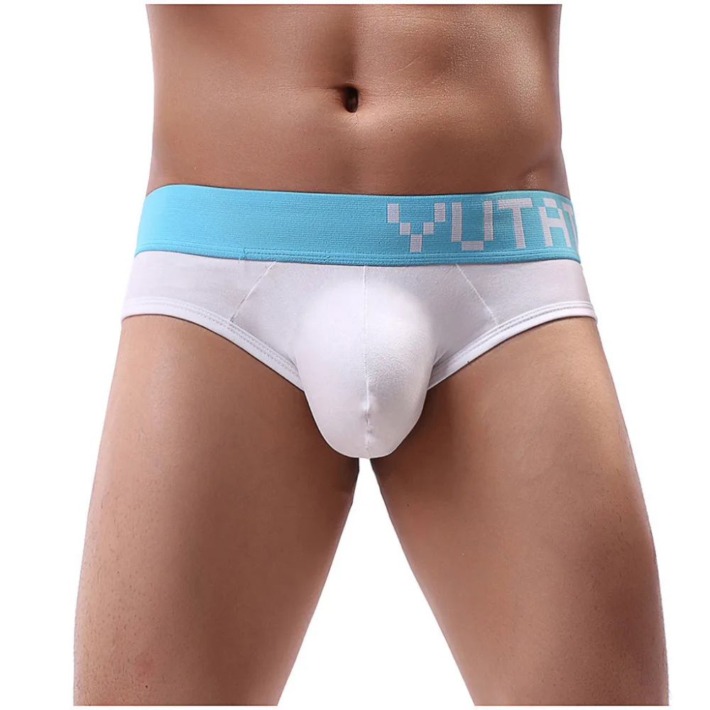 2019 Men's briefs sexy cotton stretch pants casual beach shorts men breathable sports briefs sexy hombre non-slip 40J10 (4)