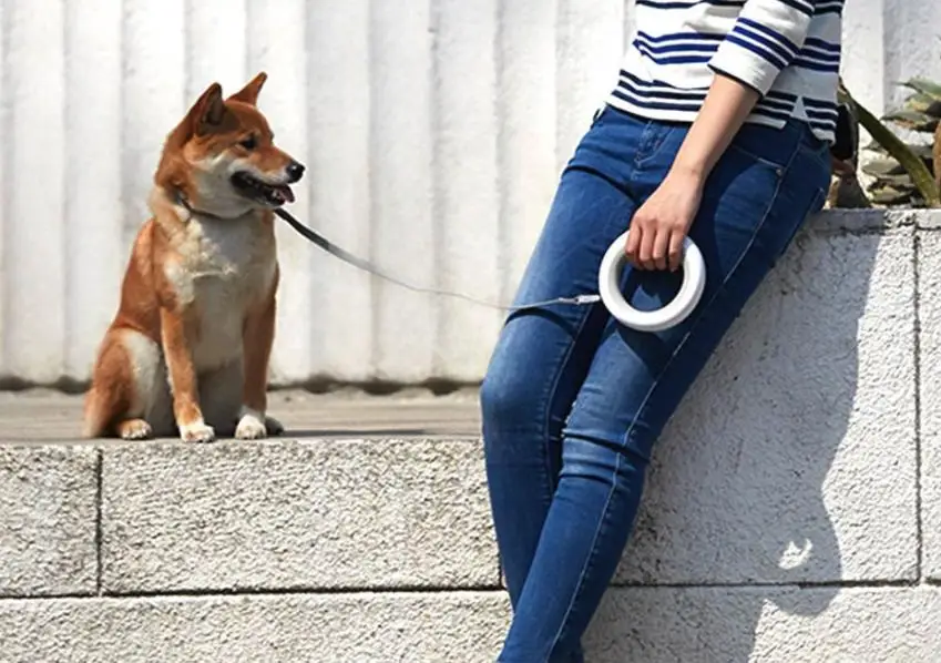 360截图20190528135802225
