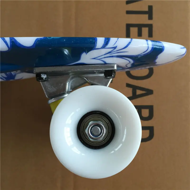 Peny skateboard  (1)