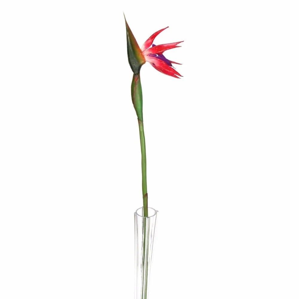 

Large Bird of Paradise Tropical Flower Artificial Silk Latex Flowers Long Stem 1