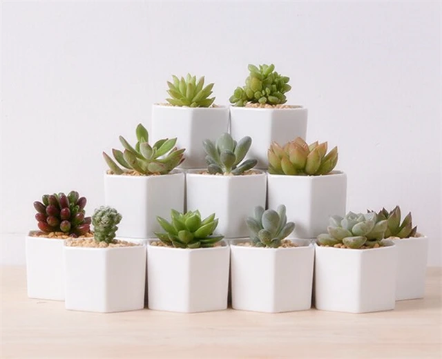 Grande idea per le piccole piante! carino bianco vasi di ceramica ... Vaso per cactus grande