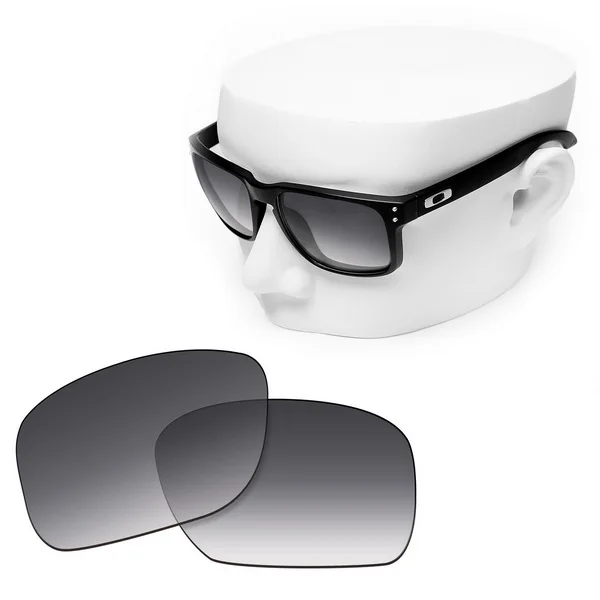 holbrook lenses polarized