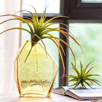 

Creative Ice Handcraft Glass Vase Desktop Decorative Bottle For Flower Plant DIY Home Decoration Terrarium Hydroponic Container