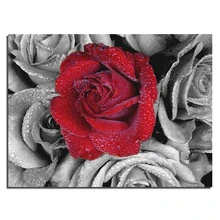 Rote rose 40×30 Handwerk Direct Selling Baumwolle Neues freies Verschiffen Hand Diy Diamant Malerei Kit 3d Voll Stickerei