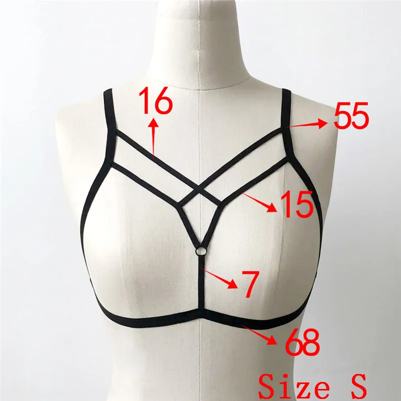 CWE0049 (1)