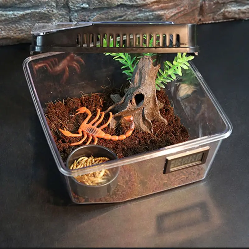 

Plastic Container Reptile Feeding Box Spider Scorpion Insect Terrarium Breeding Box