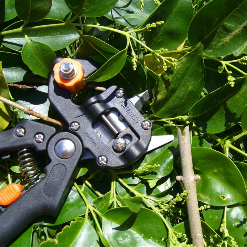 Fruit Tree Garden Tools Tree Pruner Shears Scissor Grafting Cutting Tool + 2 Blade Garden Set Cutting Kit TH4 blist package 