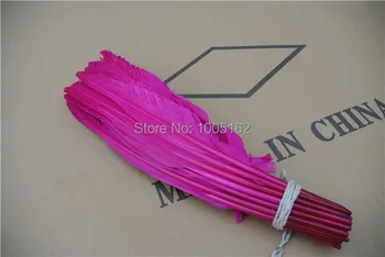 

Wholesale 100PCS Hot Pink goose feathers 12-14inch Turkey Quill Feathers pheasant tail feather for costumes decor