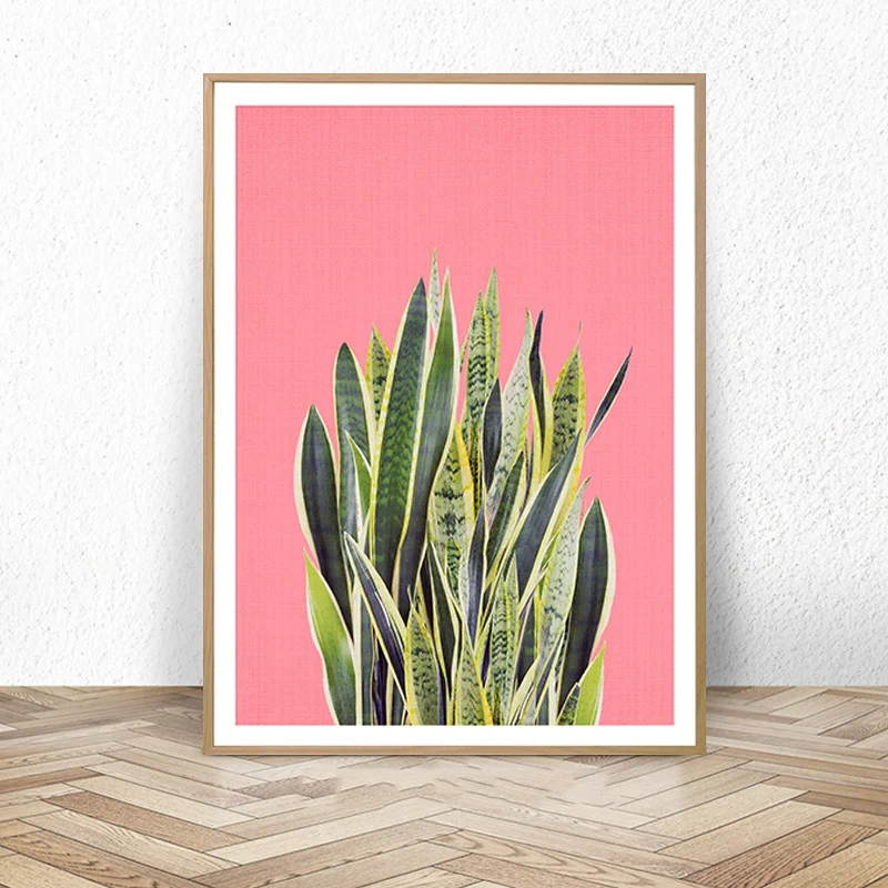 Cactus Wall Art Print, Pink, Mexican Poster, Modern Decor, Botanical Succulent, Mother in Law Tongue, Cactus Art