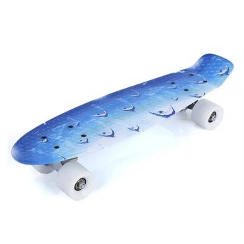

Skateboard Longboard 22 inch Dolphin Pattern Four-wheel Long Skate Board PP Plastic Deck Aluminum Alloy Truck Dropshipping