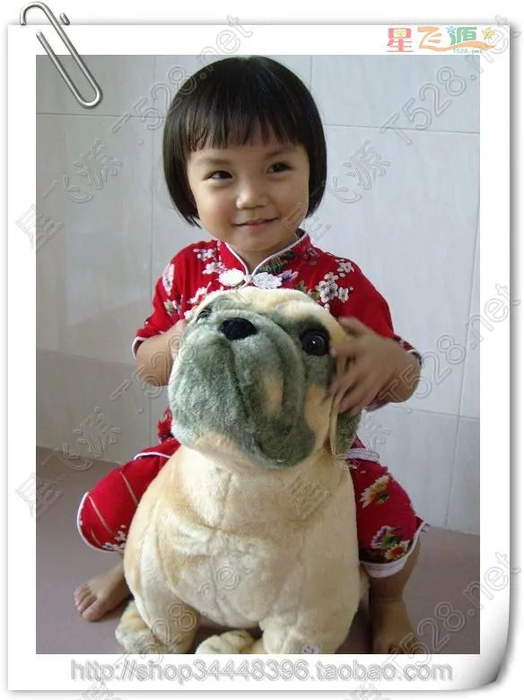 

simulation animal 55cm Pekingese dog plush toy doll gift k0507