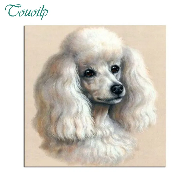 

Full diamond embroidery Cute poodle home decor,5d diamond painting cross stitch fashion diamond mosaic pictures of rhinestones