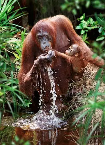 b0353f167994b6d3ecf7da58a0070e15