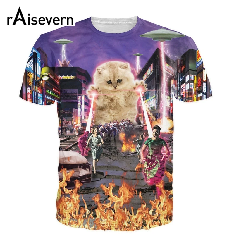 kitten t shirt