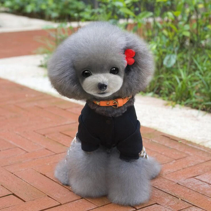 2016 Pet Dog Clothes Popular Descendants of the Sun Camouflage Dog Jumpsuits Sizes S-XXL Dog Shirts Overalls In Winter&Autumn (3)