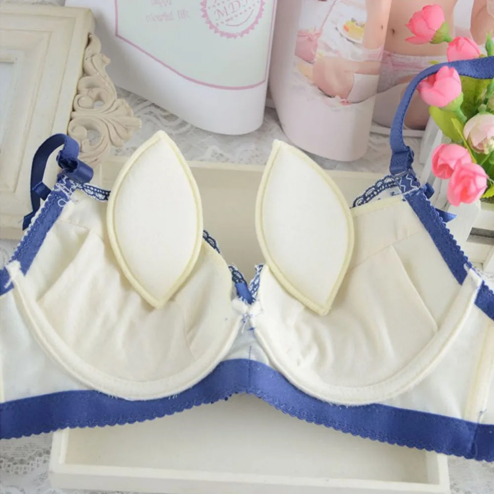 2018 Floral Brand Lace Sexy Butterfly Embroidery Women Underwear Set Fasion Elegant Lingerie Bra Set
