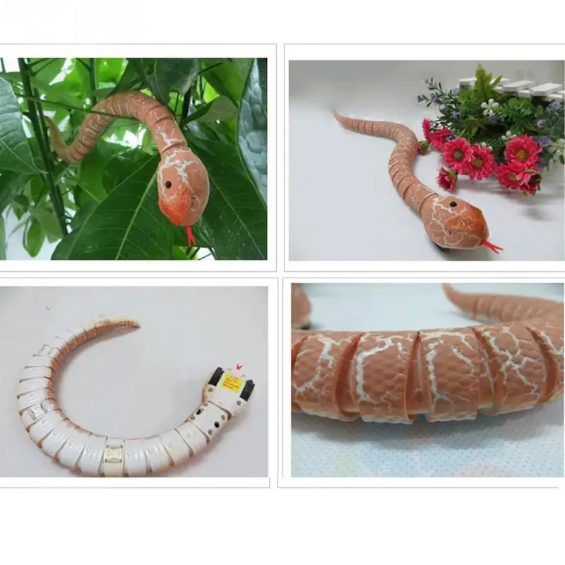 HTB1a6ShRXXXXXa9XXXXq6xXFXXXW