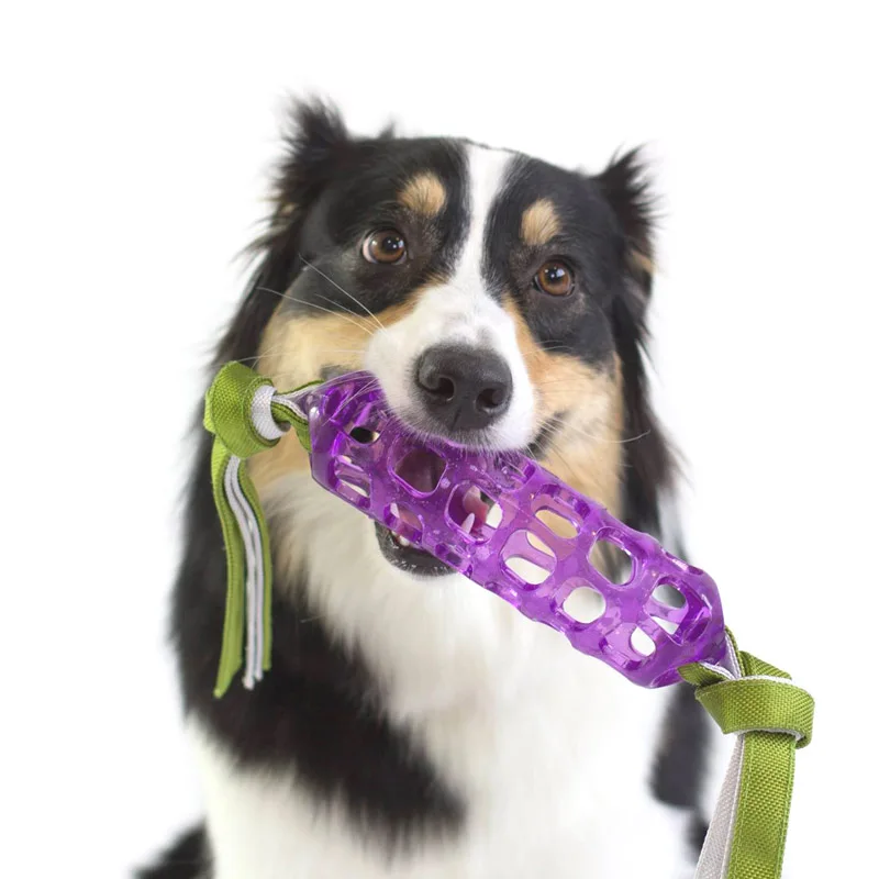 

CAITEC Dog Toys Soft Rubber Treat Cylinder with Knotted Streamer Suitable for Foraging Pet Toys with Video