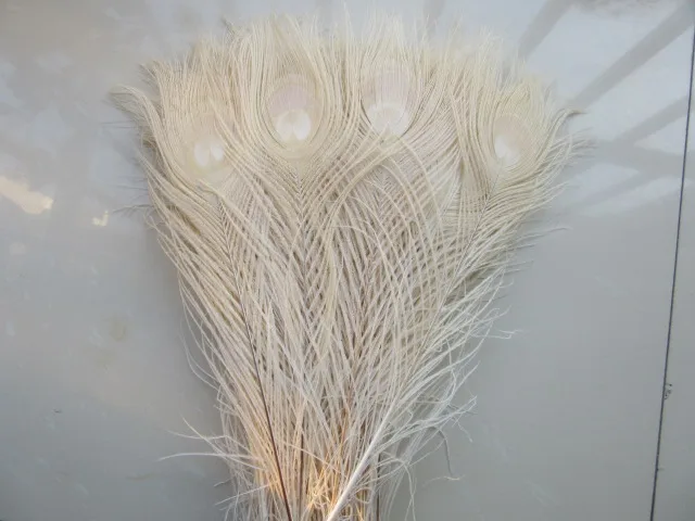 

Wholesale! Beautiful Beige peacock eye feathers 10 pcs 25-30 cm / 10-12 inches decoration celebration